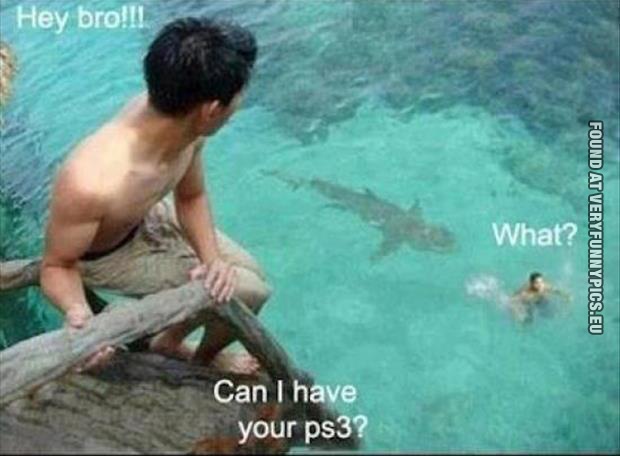 funny picture can i have your ps3 shark attack