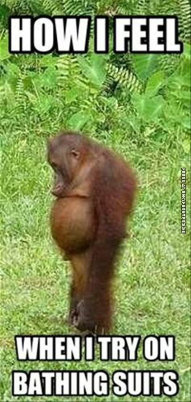 funny picture how i feel when i try on bathing suits