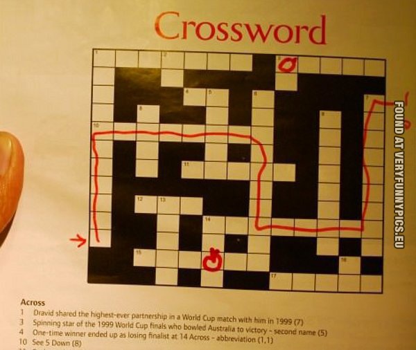 funny picture how to solve a crossword