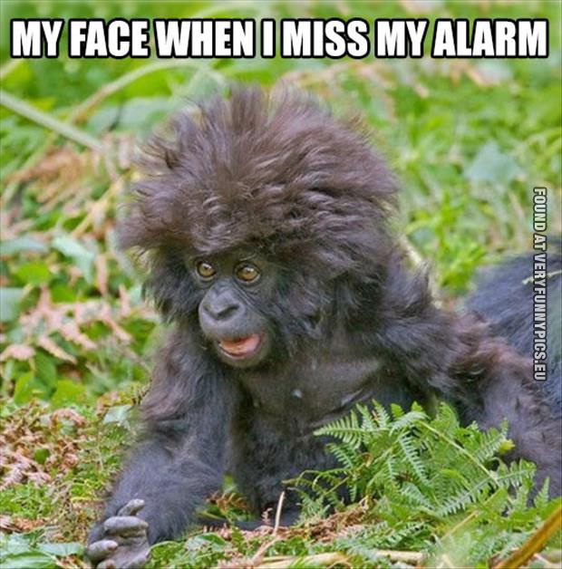 funny picture my face when i miss the alarm