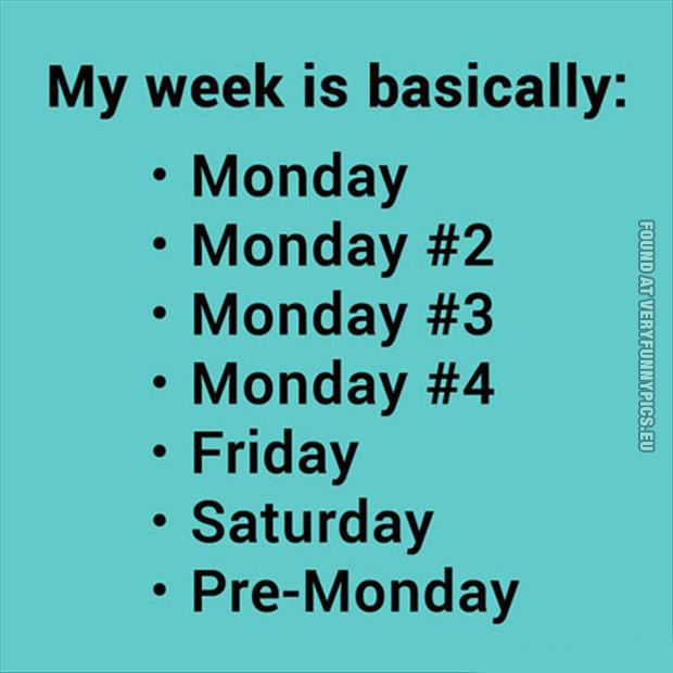 funny picture my week is basically