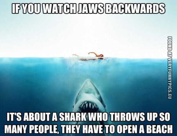 funny picture shark backwards