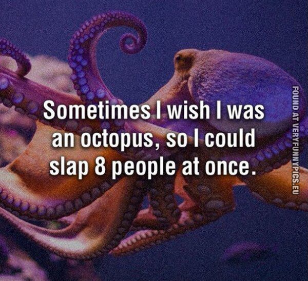 funny picture sometimes i wish i was an octopus