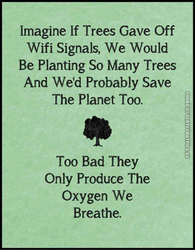 funny pics trees and wifi signals