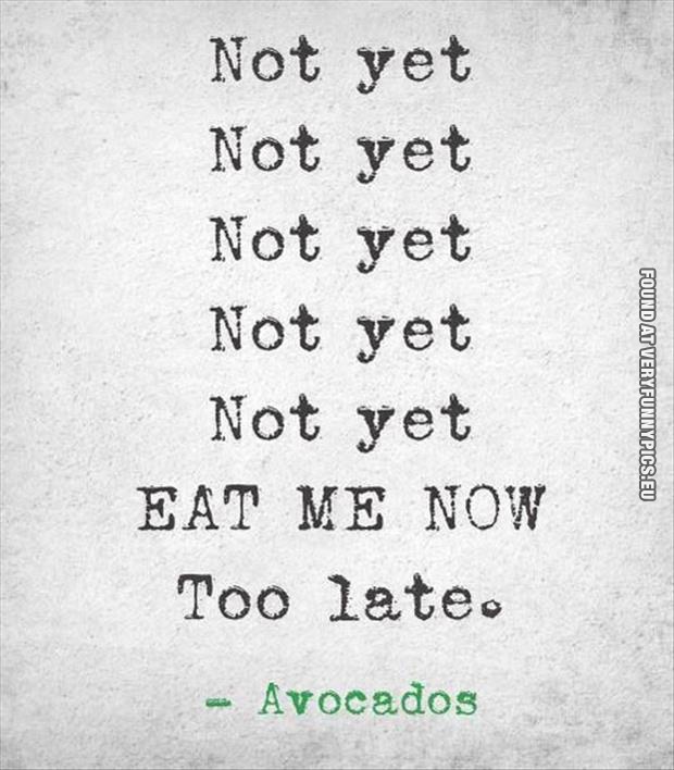 funny picture avocado quote