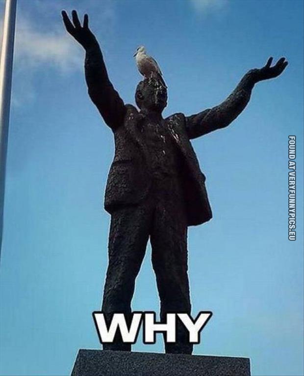 funny picture bird shit on statue