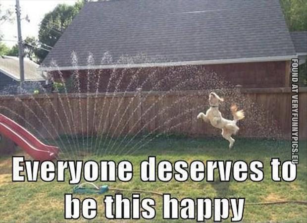 funny picture everyone deserves to be this happy