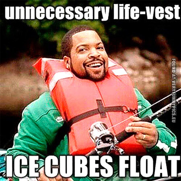 funny-picture-ice-cubes-float