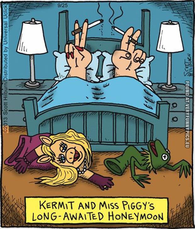 funny picture kermit and miss piggys honeymoon