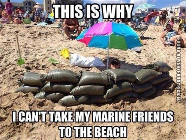 funny picture marine friends at the beach