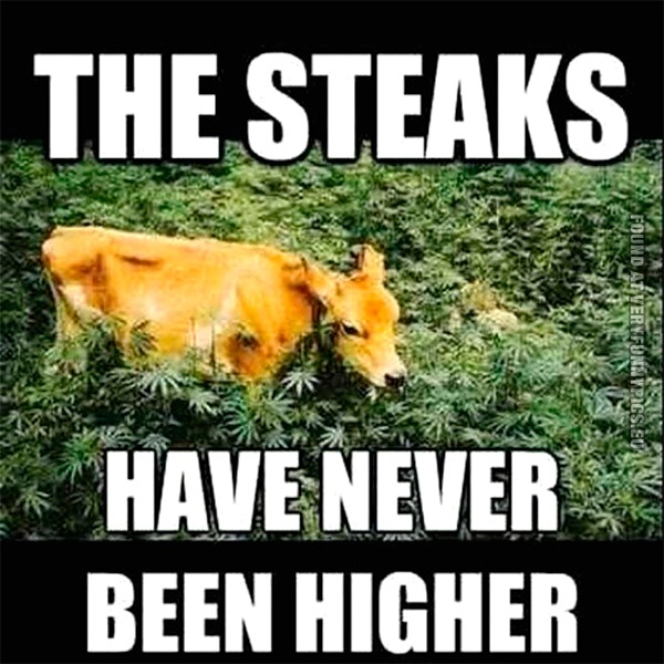funny-picture-the-steaks-have-never-been-higher