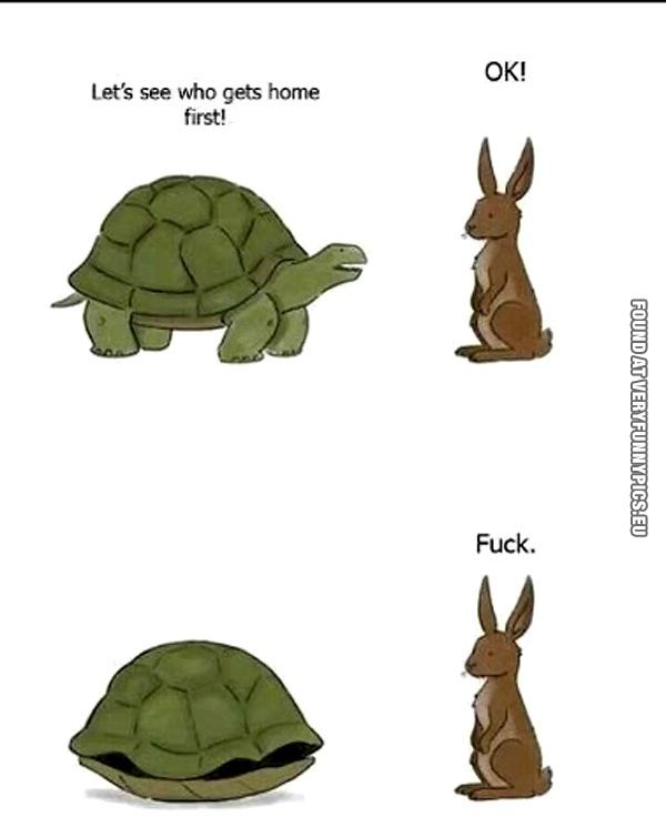 funny-picture-turtle-and-rabbit-race