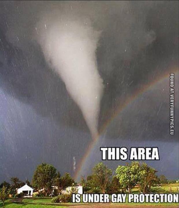 funny picture under the rainbows protection