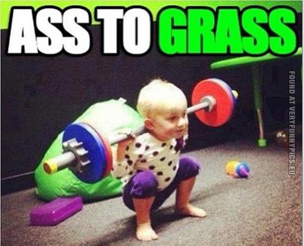 funny pics ass to grass