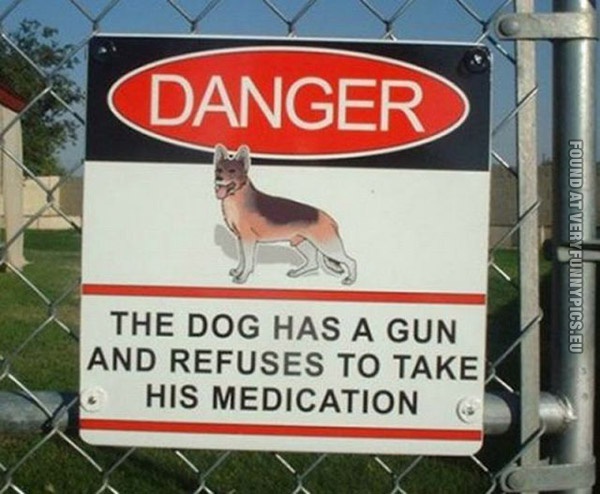 funny pics dog has a gun