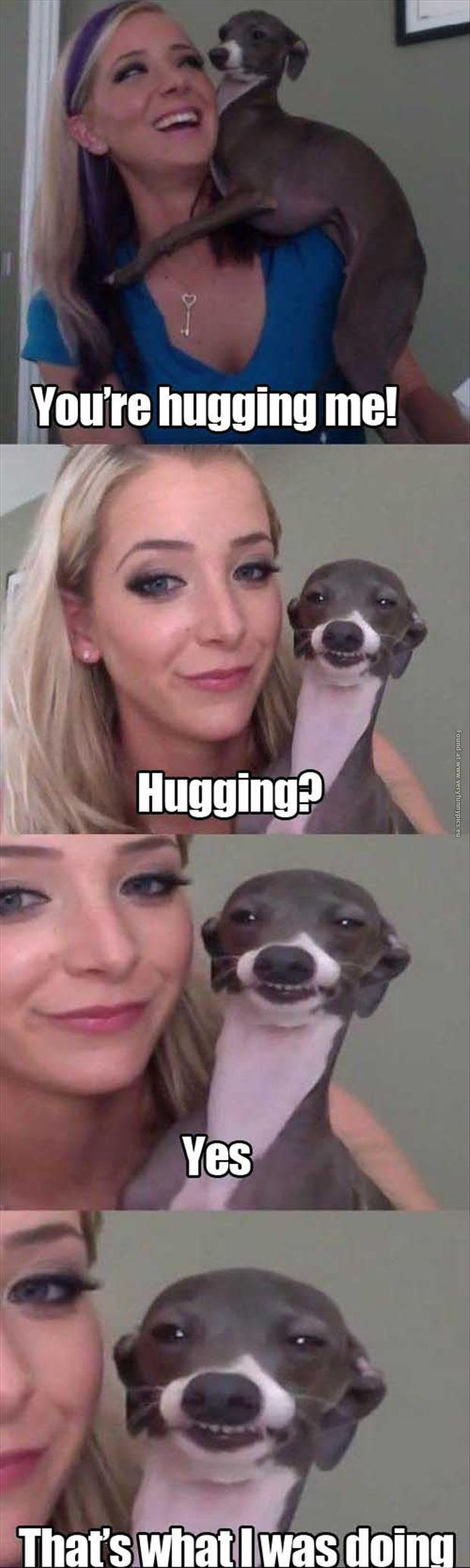 funny pics dog hugging a girl