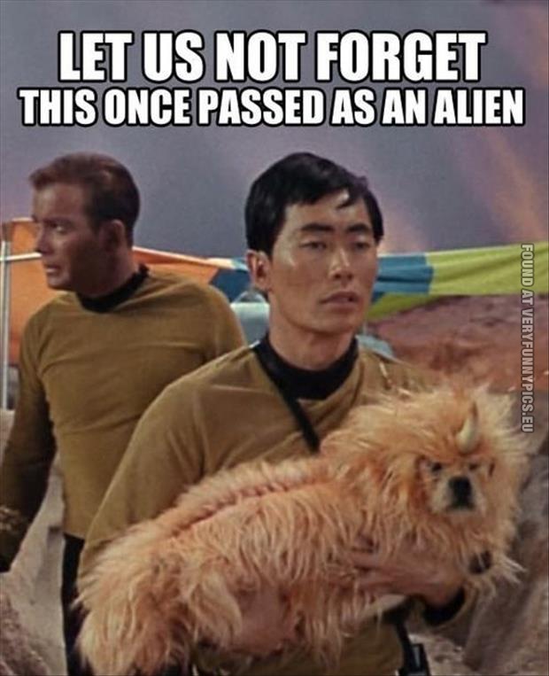 funny pics dog passed as an alien in star trek
