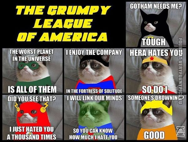 funny pics grumpy league of america