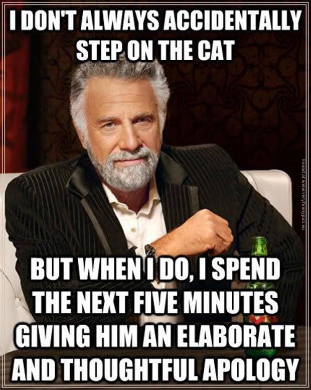 funny pics i dont always step on the cat