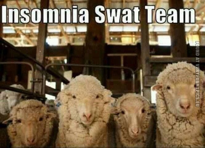 funny pics insomnia swat team