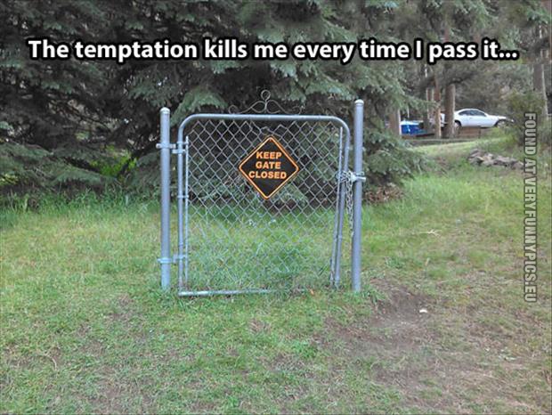 funny pics keep gate closed