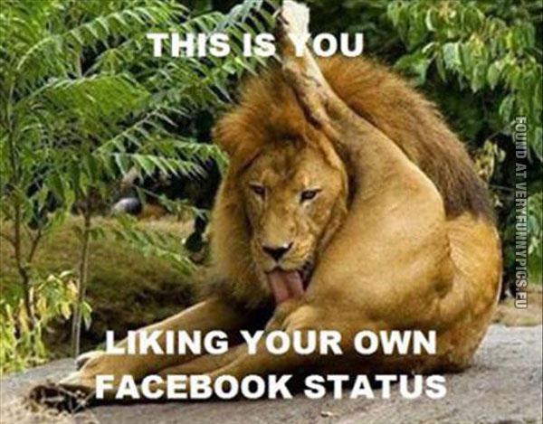 funny pics liking your own facebook status