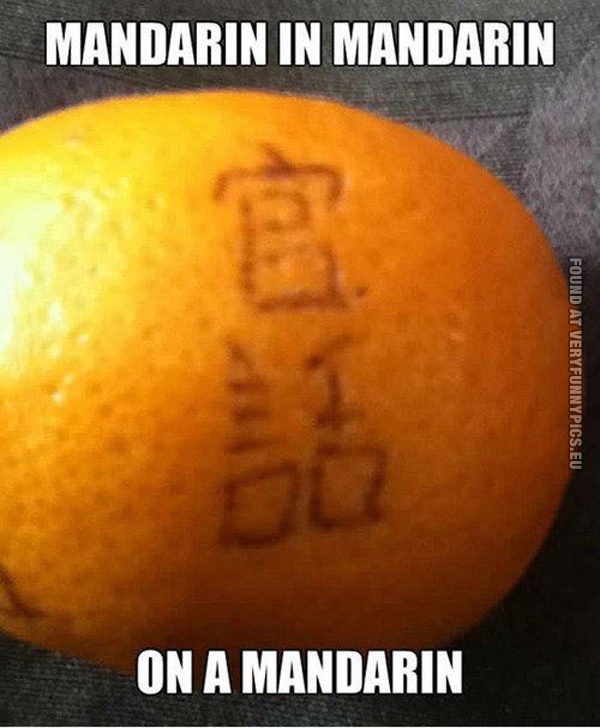 funny-pics-mandarin-in-mandarin-on-a-mandarin