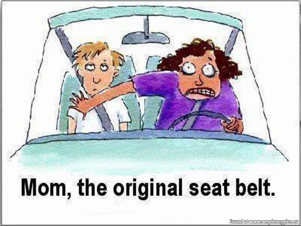 funny pics mom the original seat belt