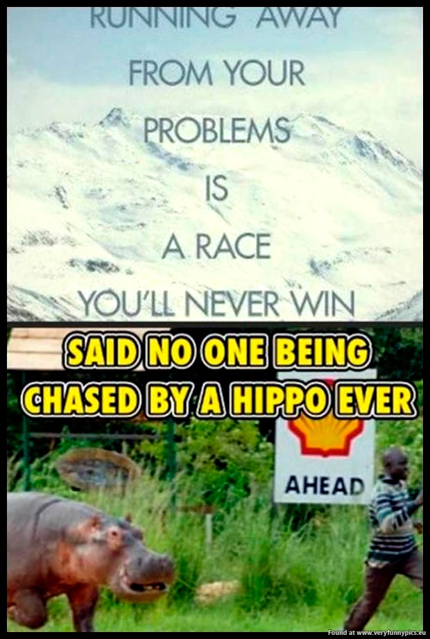 funny-pics-running-away-from-your-problems-hippo