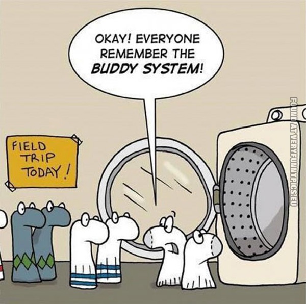 funny-pics-socks-remember-the-buddy-system
