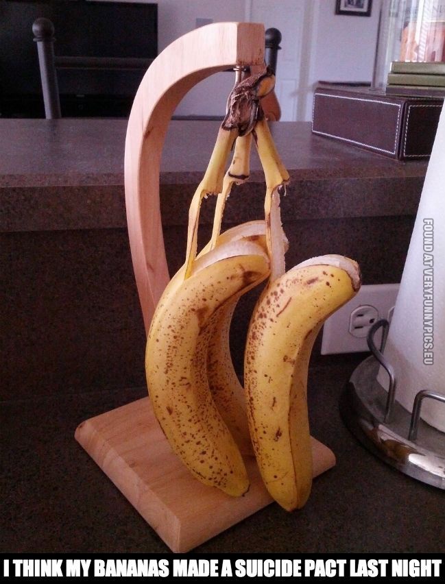 funny pics the bananas made a suicide pact