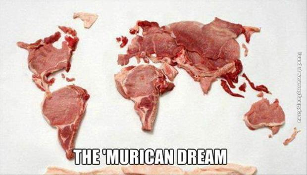 funny pics the murican dream