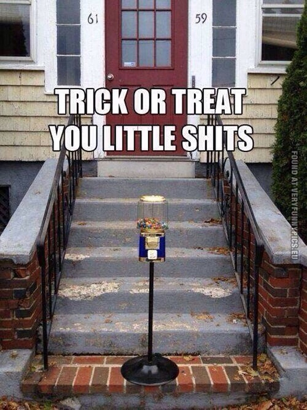 funny-pics-trick-or-treat-you-little-shits