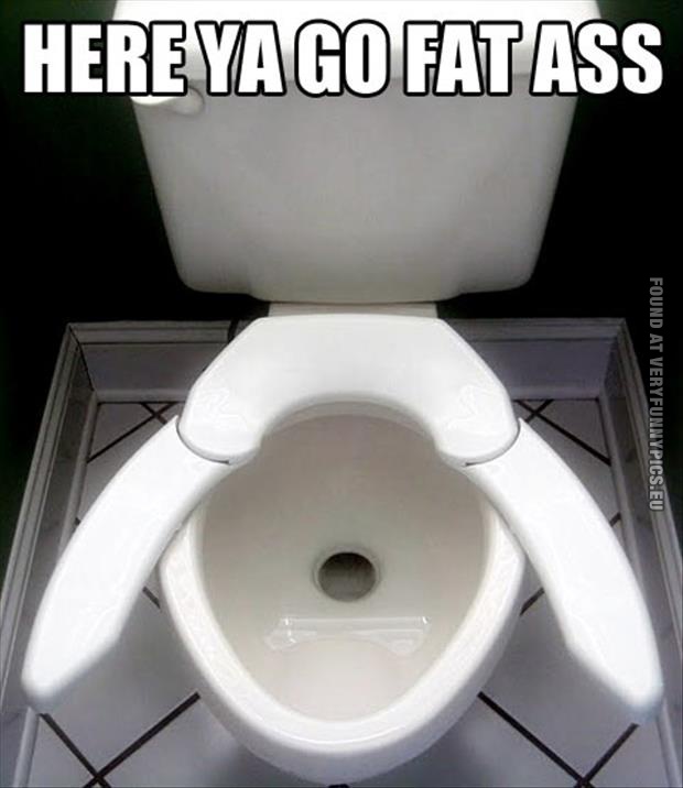 funny picture fat ass toilet
