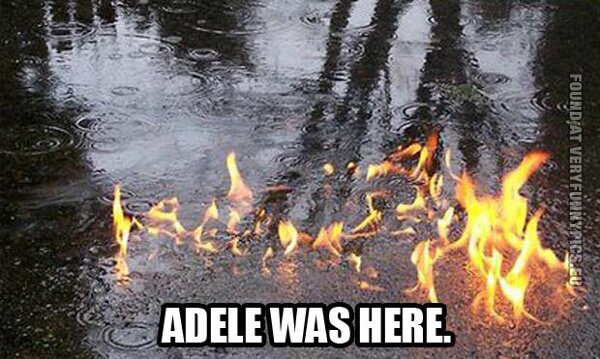 funny picture fire to the rain adele was here