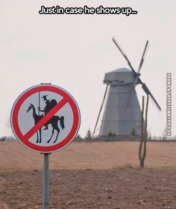 funny-picture-in-case-of-don-quijote