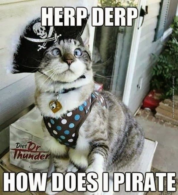 funny-cat-pics-herp-derp-how-does-i-pirate