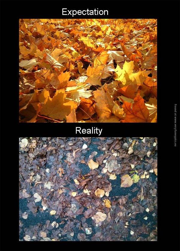 funny-pics-autumn-expectation-vs-reality