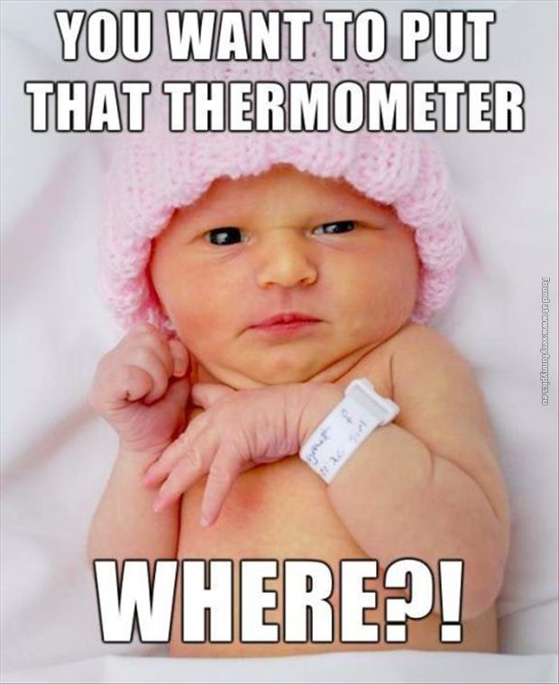 funny pics baby thermometer