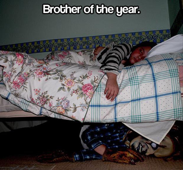funny pics brother of the year