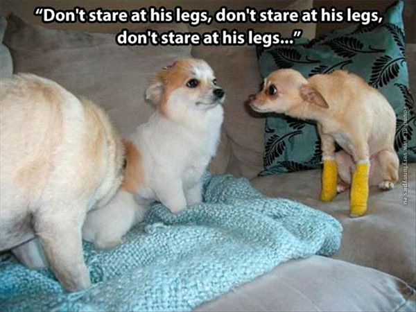 funny-pics-dont-stare-at-his-legs