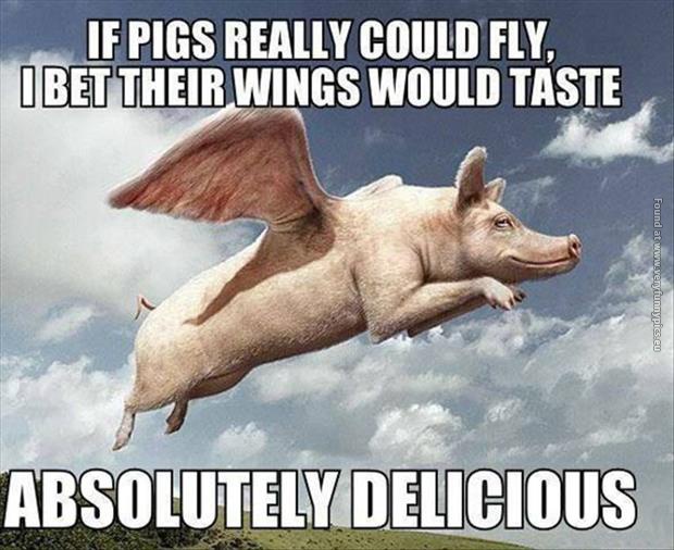 funny pics if pigs could fly