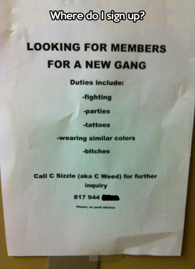 funny pics members for a new gang