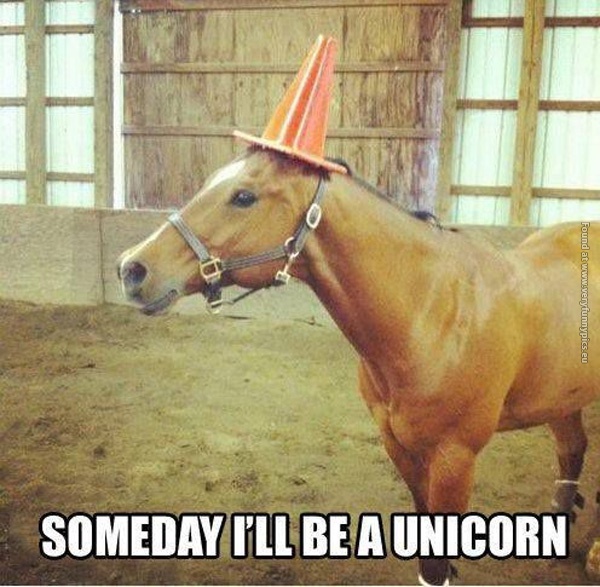 funny-pics-someday-ill-be-a-unicorn
