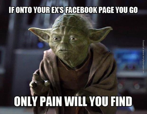 funny pics yodas advise about facebook