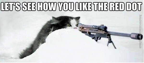 funny cat pics lets see how you like the red dot sniper
