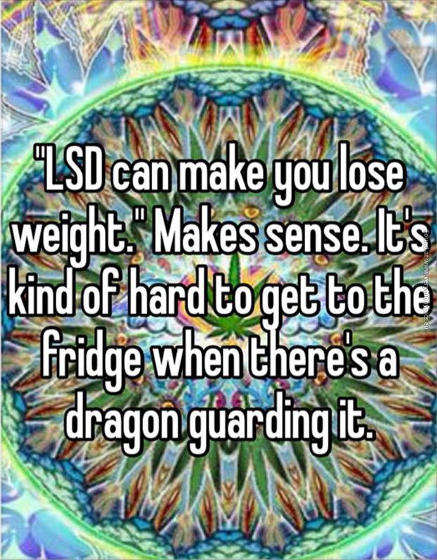 funny pics lsd can make you lose weight