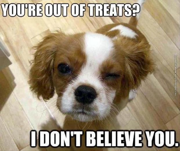 funny pics out of treats