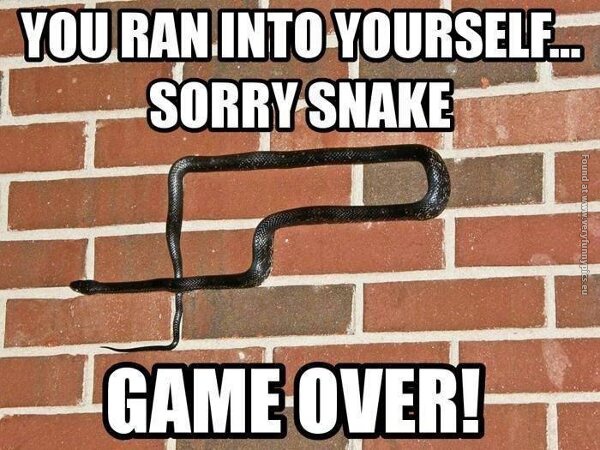 funny pics snake game over