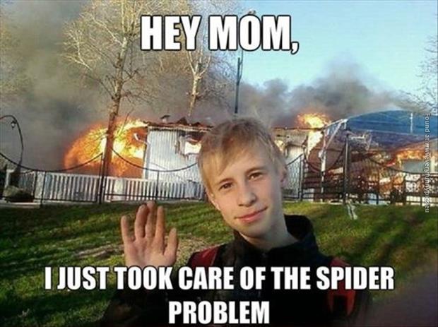 funny pics took care of the spider problem